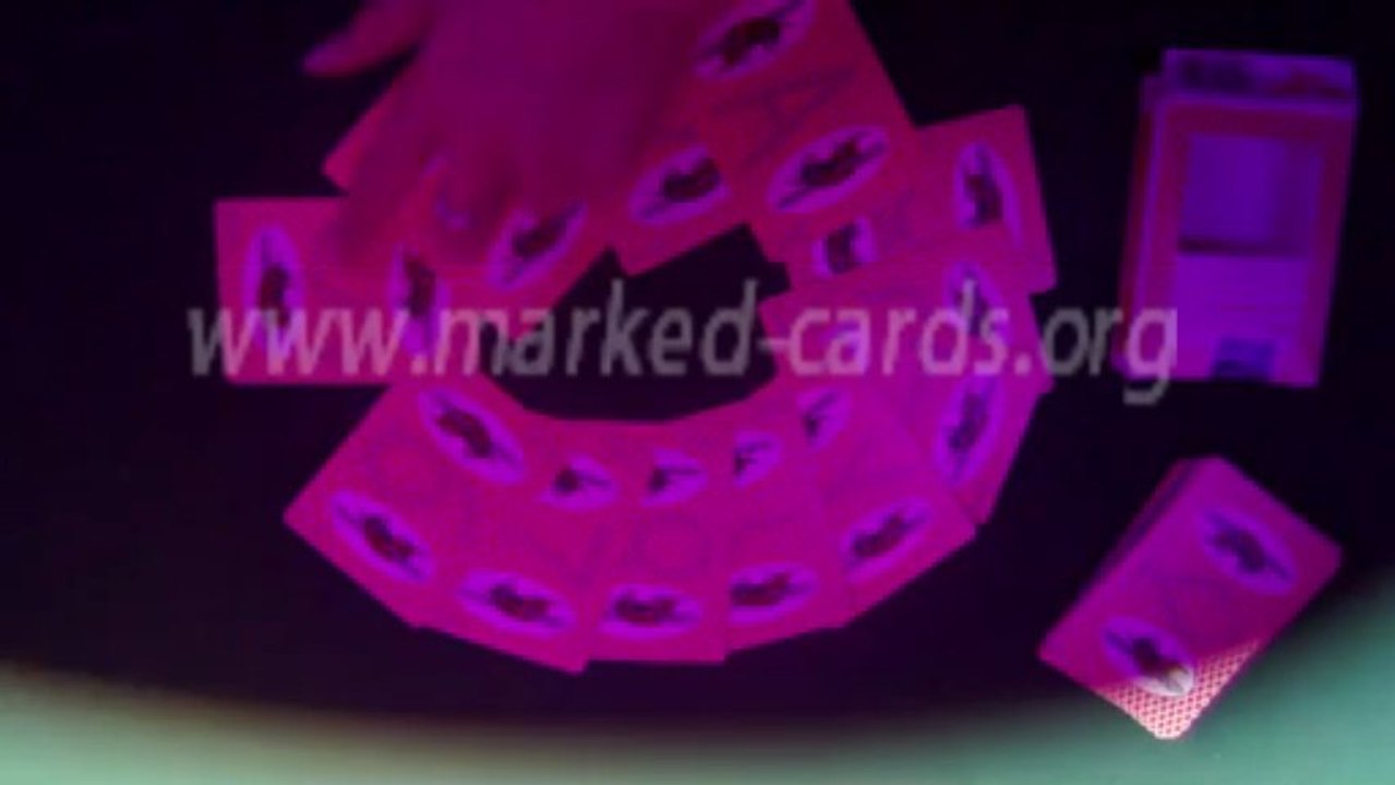 Bee(With Picture)2-MARKED-PLAYING-DECKS