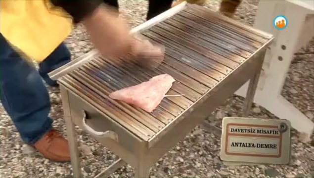 Davetsiz Misafir - Antalya Demre