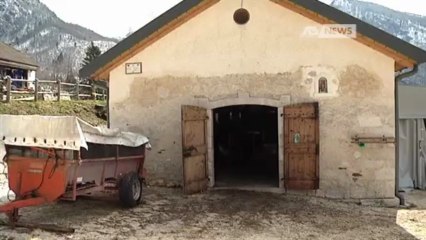 PIANON, NELLA NOSTRA AZIENDA SOLO UNA PICCOLA IRREGOLARITA'