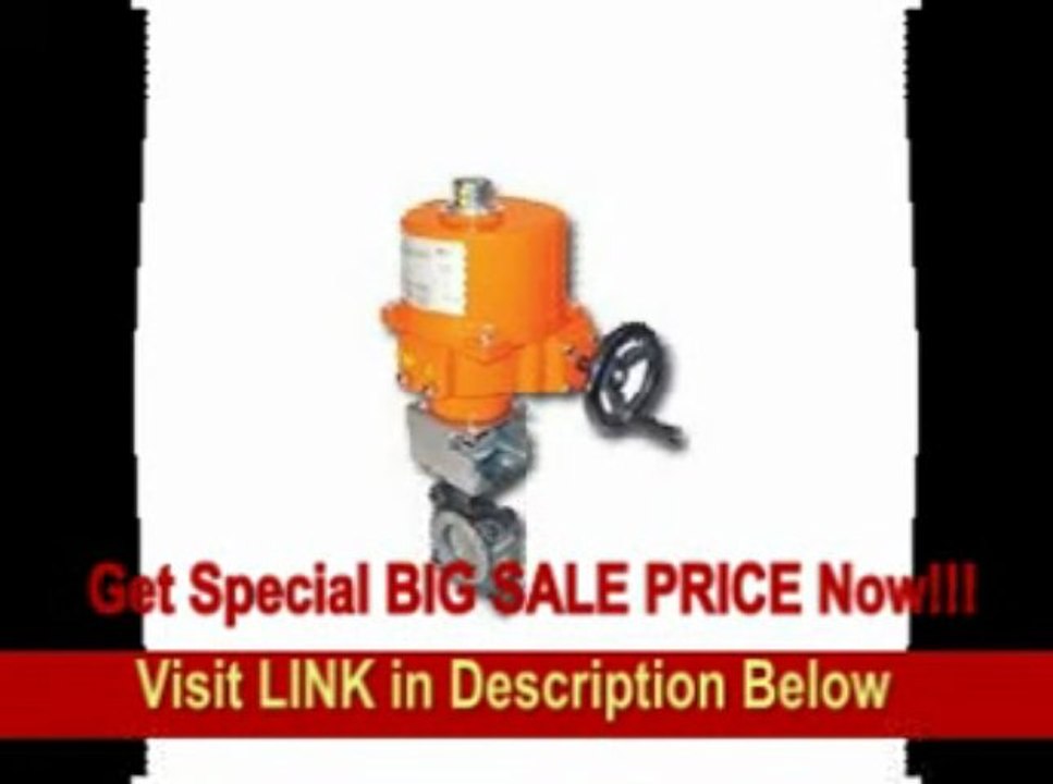 [FOR SALE] Butterfly Valve