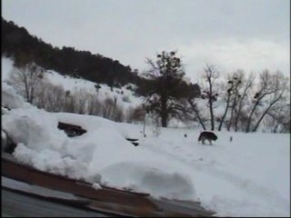 yüce dağlar başında