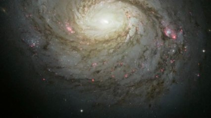 Panning across Messier 77