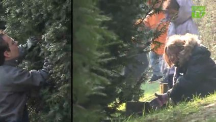 Vidéo Puteaux: La Chasse aux oeufs sur l'île de Puteaux