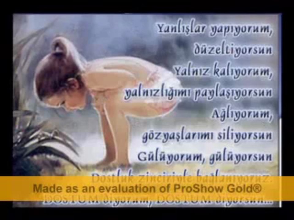 Haluk Levent   -  Dostum