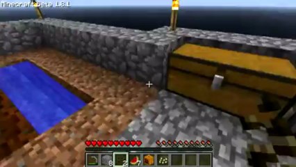 MINECRAFT: Skyblock Survival Part 8: Sugar Cane on Normal Dirt!!!