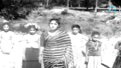 Gemini Ganesan | Savithri | Radha - Hello Mister Zamindar Hd Movie Part 01