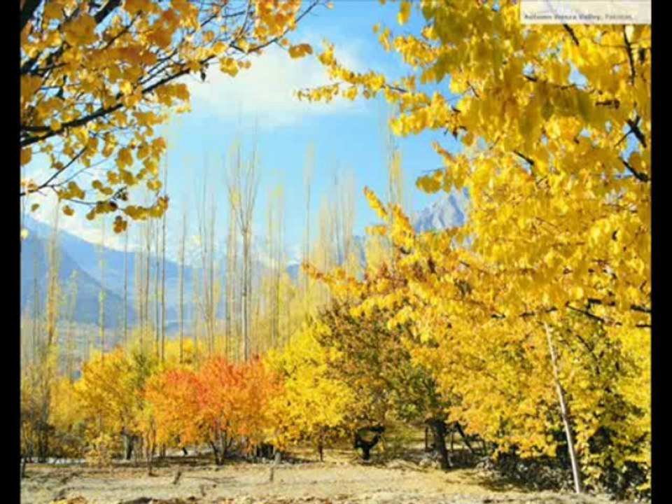 my gilgit.com