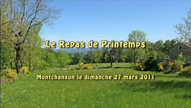 Repas de printemps 2011