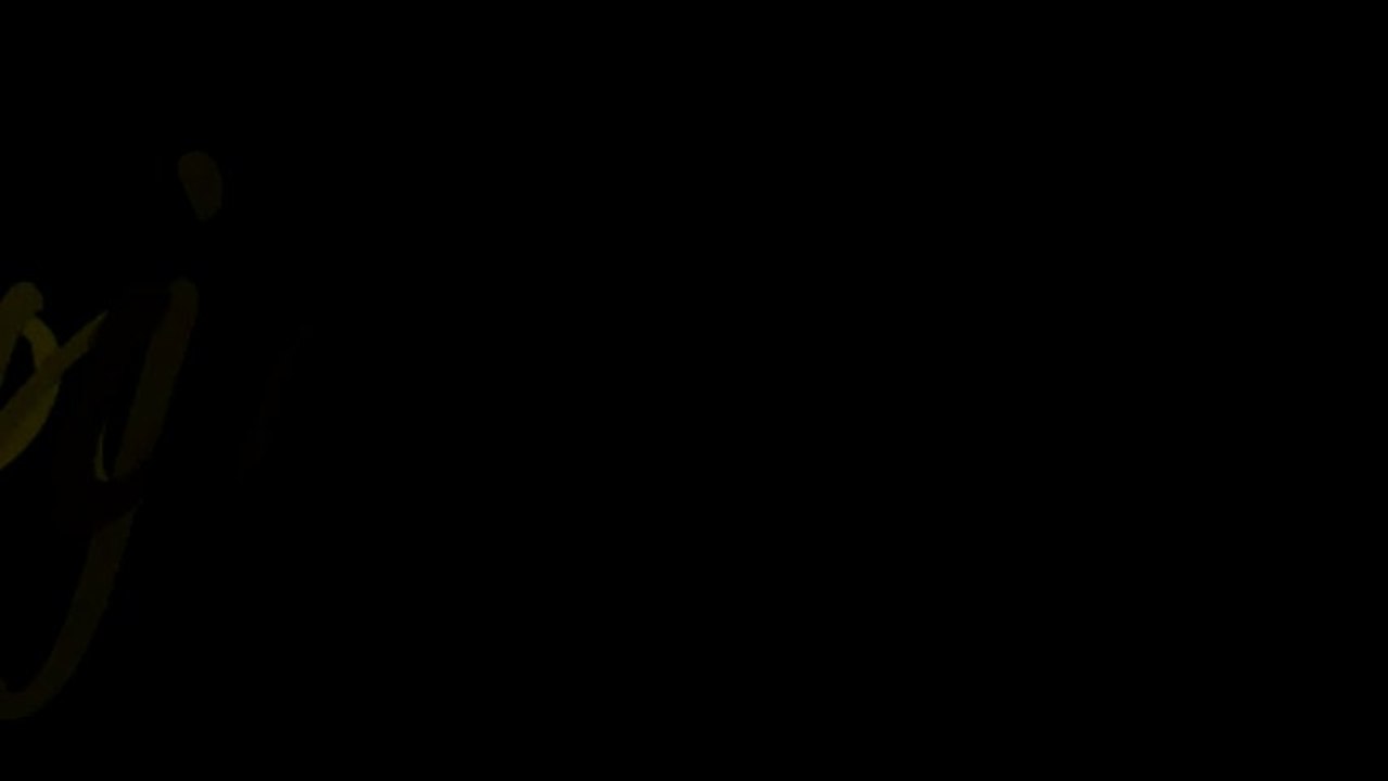 Savate Boxe Française, une vision moderne d'un sport de combat (1er teaser)