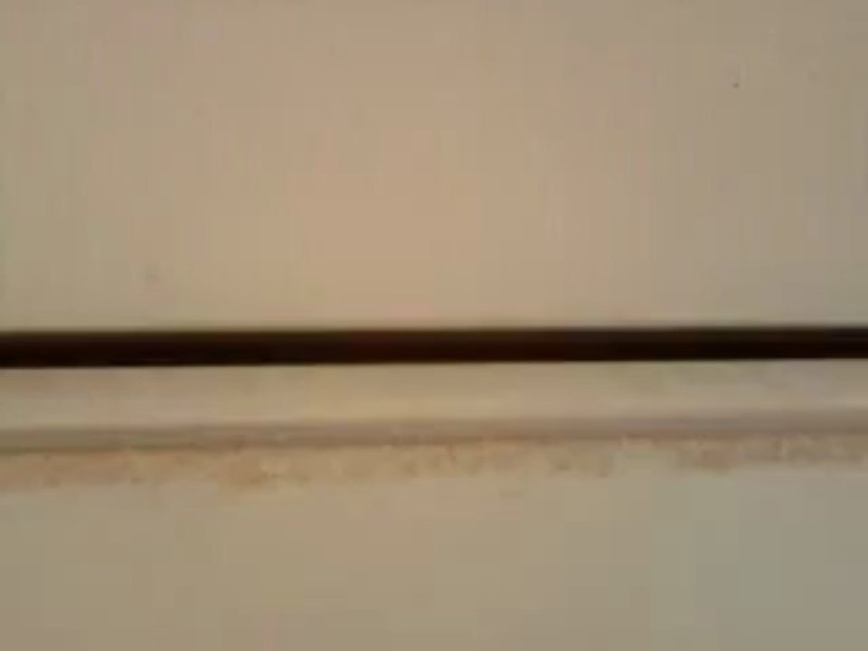 Cooking with Chebel and Shelly.