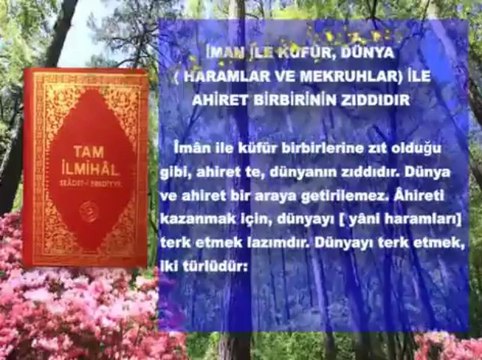 İman ile küfr, dünya ( haramlar ve mekruhlar ) ile ahiret birbirinin zıddıdır