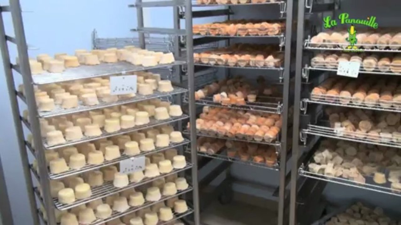 GaecSousLesRoches-Panouille