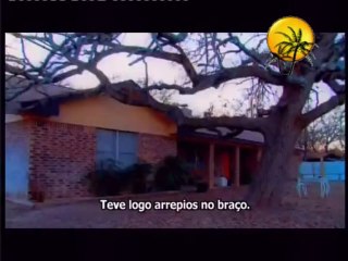 Histórias de Fantasmas - T2 Ep. Nº 006