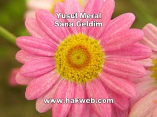 Yusuf Meral - Sana Geldim
