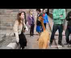 비비카지노 ✬✭✮	QCH138.COM ✬✭✮	 소라카지노