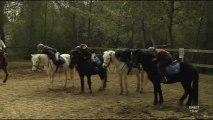 Des chevaux SDF à Saint-Clément-de-Rivière