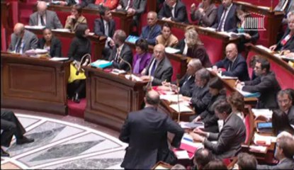 Questions au Gouvernement - Réponse de Pierre Moscovici à Dino Cinieri [3 avril 2013]