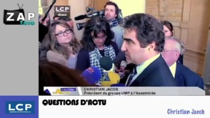 Zapping Actu du 4 Avril 2013 - Hollande intervient sur le cas Cahuzac
