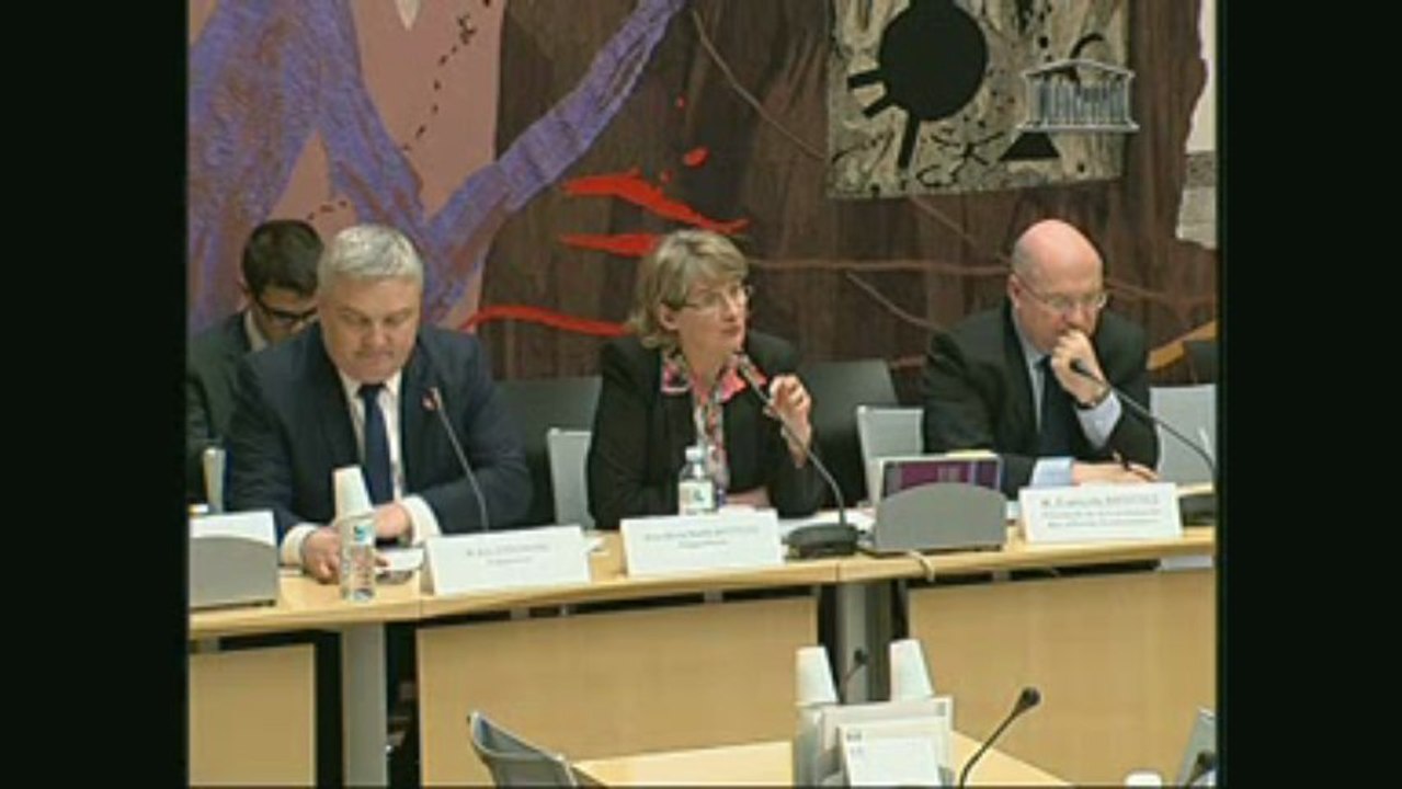 Rapport sur l'hydroélectricité le 3 avril à l'Assemblée nationale