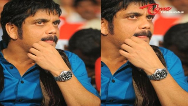 Greeku Veerudu Movie Audio Launch Photos - 01