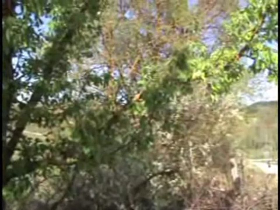 şiir dinletileri nisan 2013