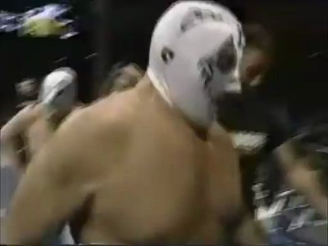 Mil Mascaras & The Destroyer.