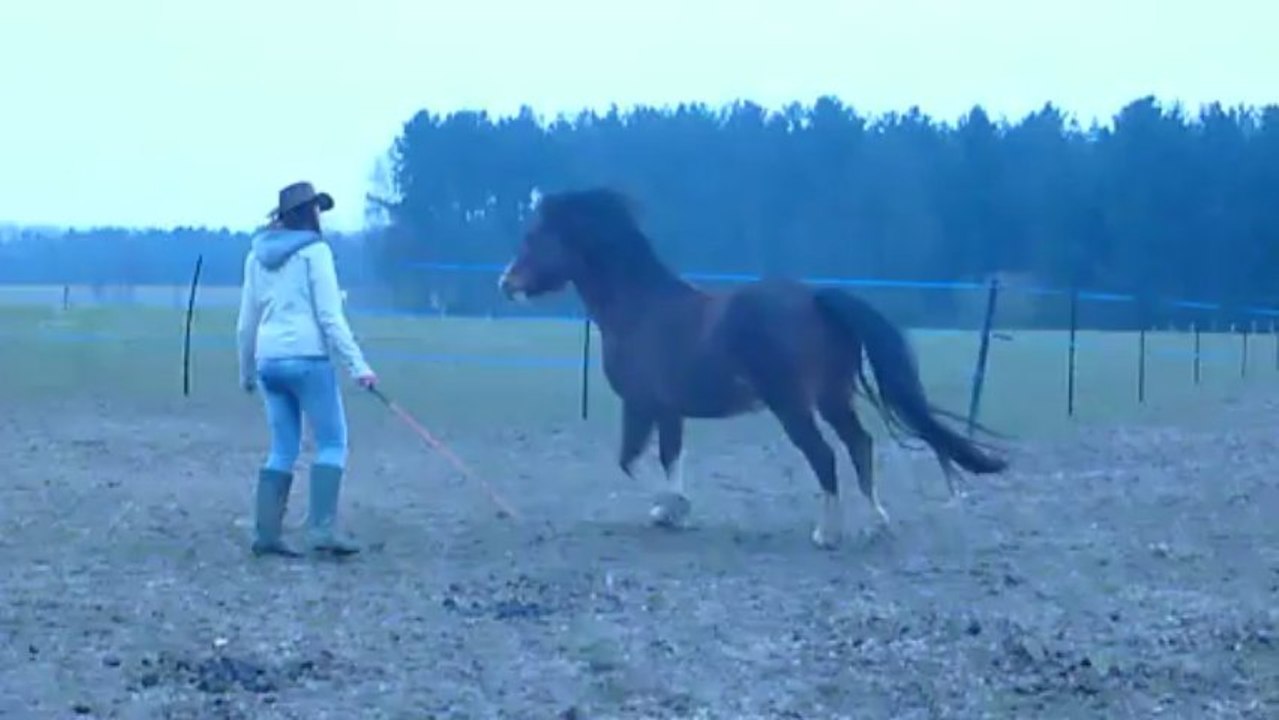 Vinnie, 3 avril 2013