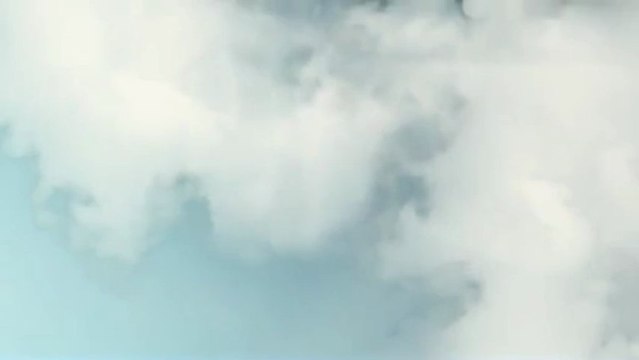 Matty's Marine Service Inc (954) 256-0289