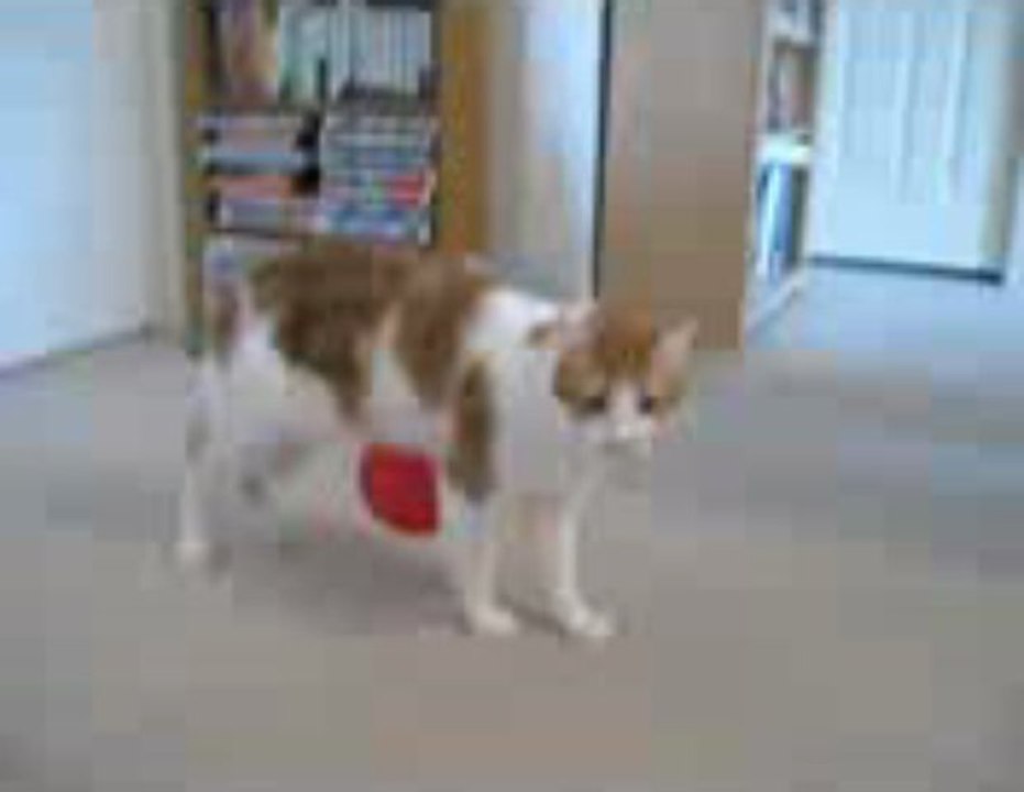 하이원카지노 ✬✭✮	QCH138.COM ✬✭✮	 베트남카지노