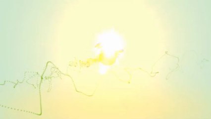 What are the amazing results from HCg Savannah?