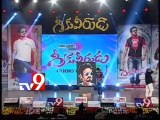 Artist Vilas paints Nagarjuna's picture at Greeku Veerudu audio launch