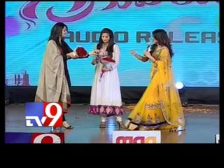 Anushka on Nagarjuna at Greeku Veerudu audio launch