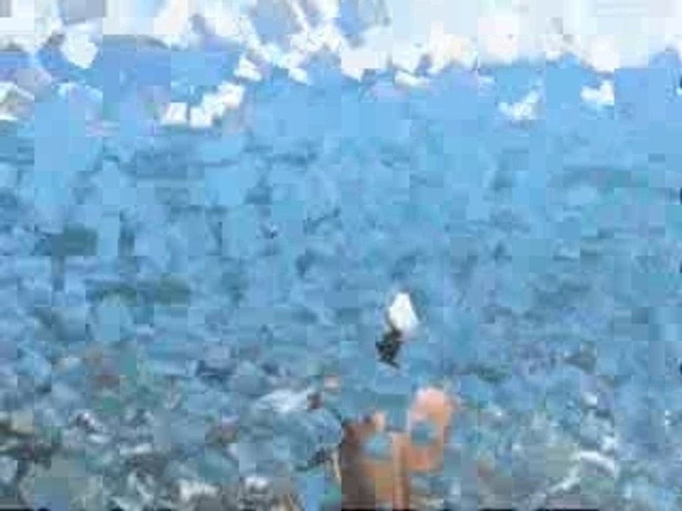 video dodo1