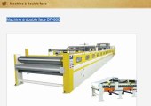 Machine à double face DF-800
