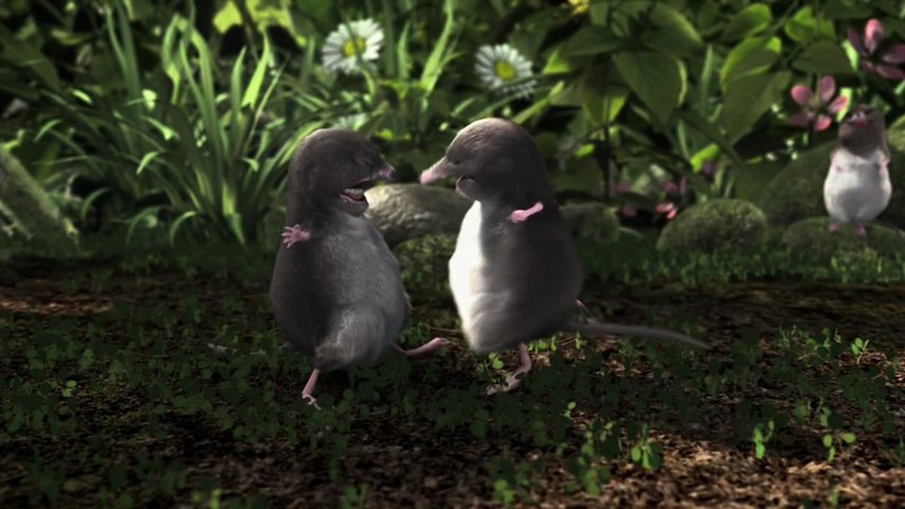 Our Wonderful Nature