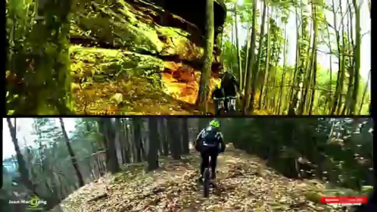 Cannondale Trigger 4x