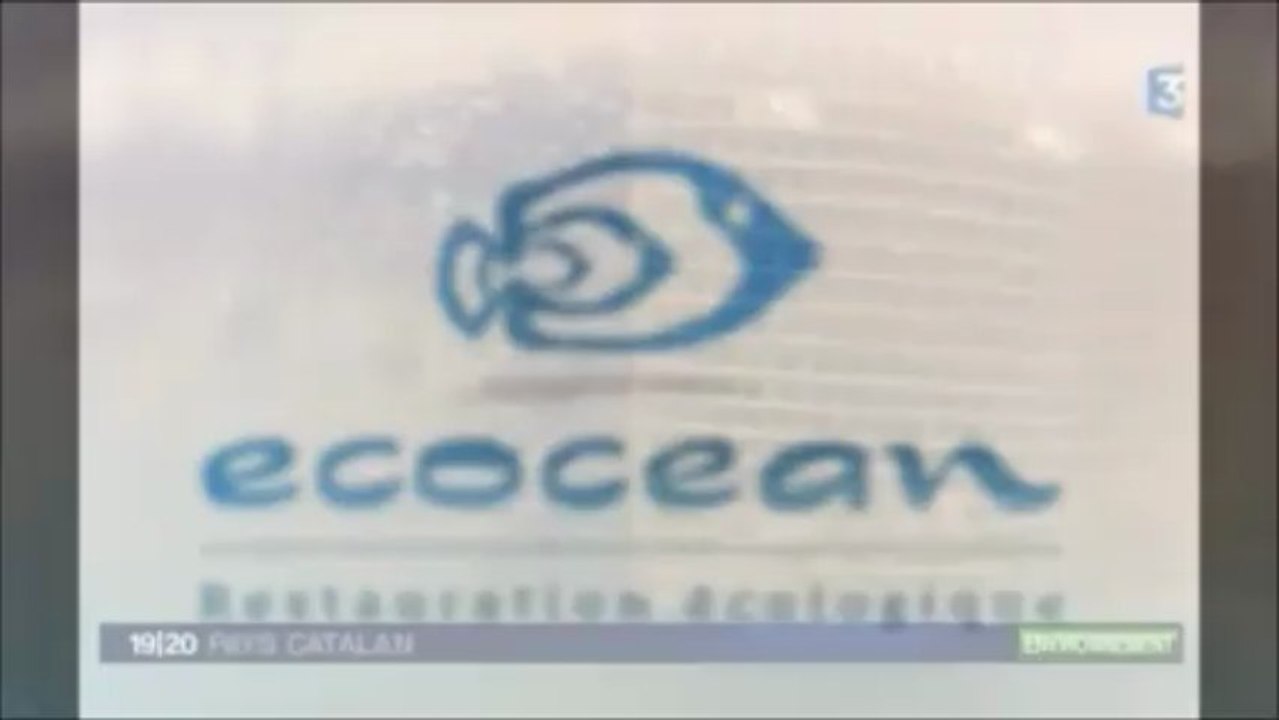 JT France 3 Pays Catalan Projet NAPPEX Edition 190313