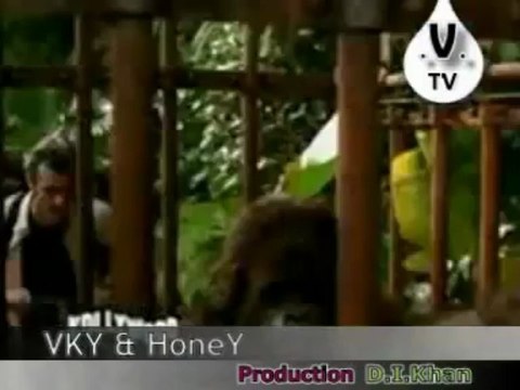 -VERY VERY Funny Punjabi Dubbing into English Movie.. MUST WATCH