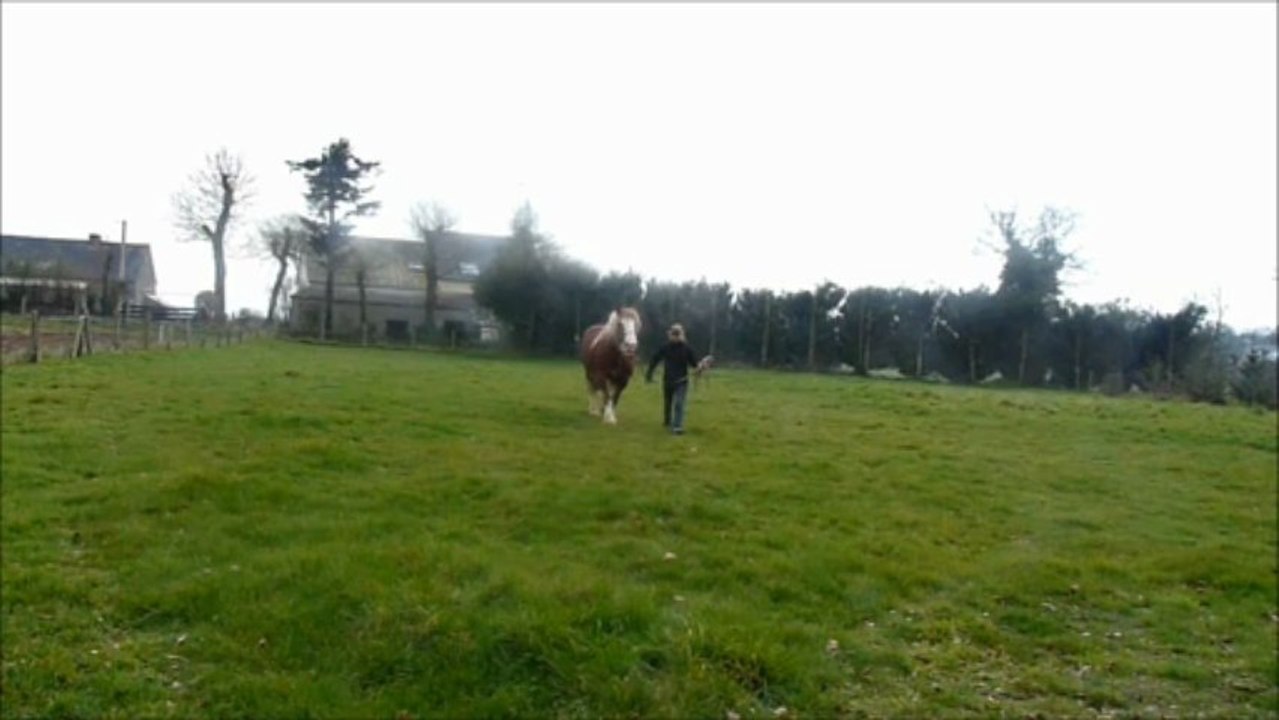 Longe 1