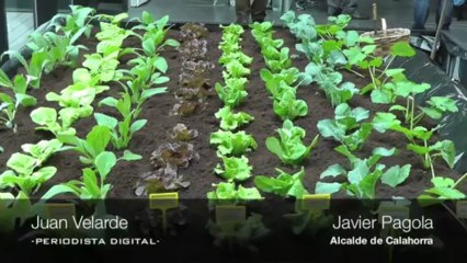 Presentación XVII Jornadas de la Verdura de Calahorra. 3-4-2013