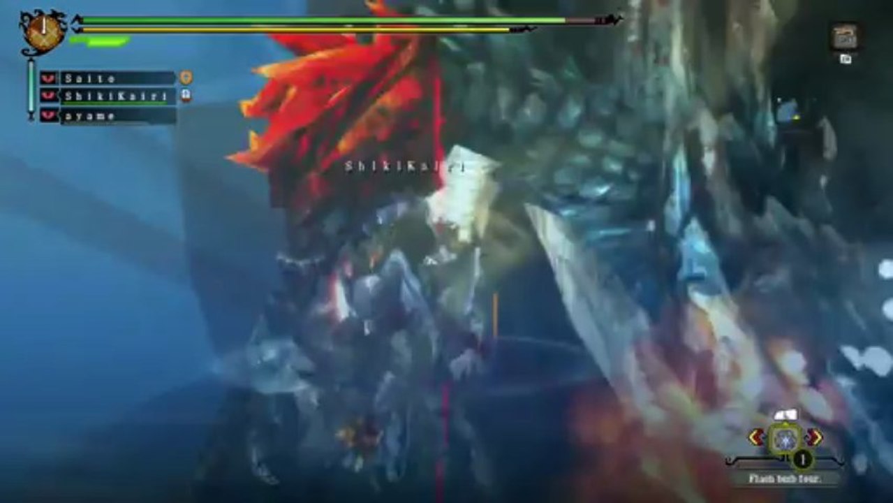 Monster Hunter 3 Ultimate - Trololol sur skype