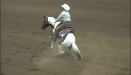 Video of 2009 stallion SkeetStir 3 years old open futurity champion by our mare Bonnie's Flipside
