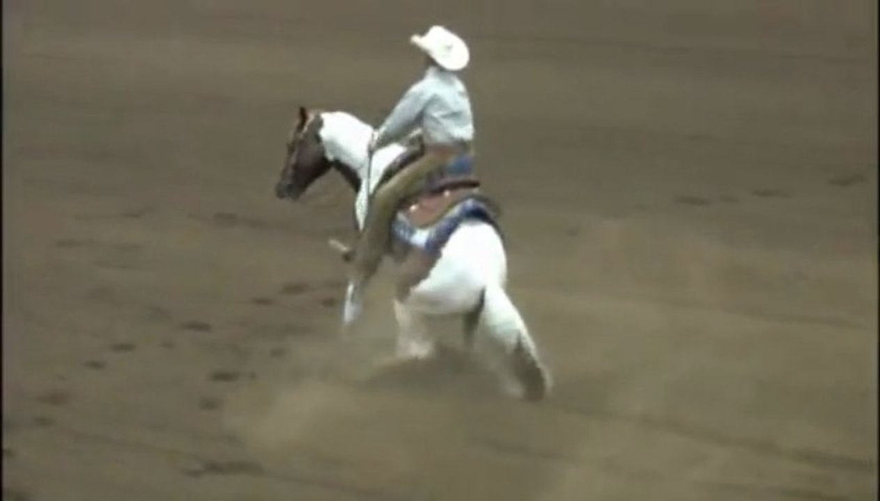 Video of 2009 stallion SkeetStir 3 years old open futurity champion by our mare Bonnie's Flipside