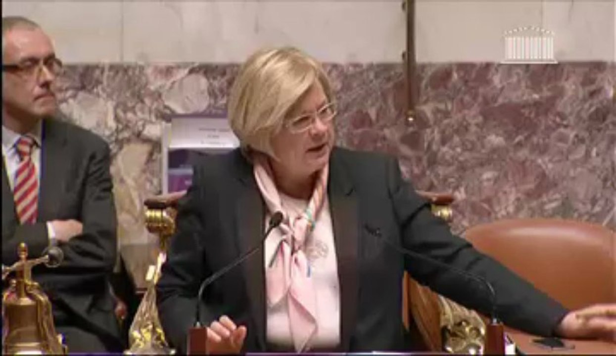 Explication de vote ANI 02042013
