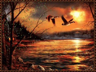 GİTTİ CANIMIN CANANI