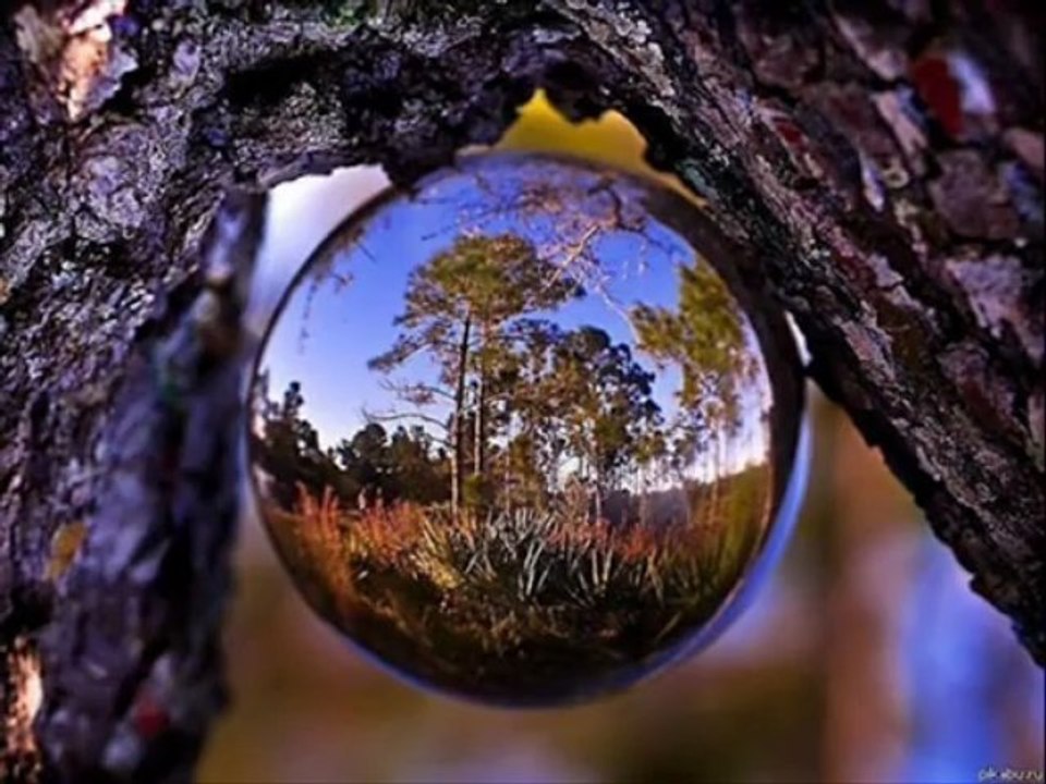 Cem Karaca - Namus Belası