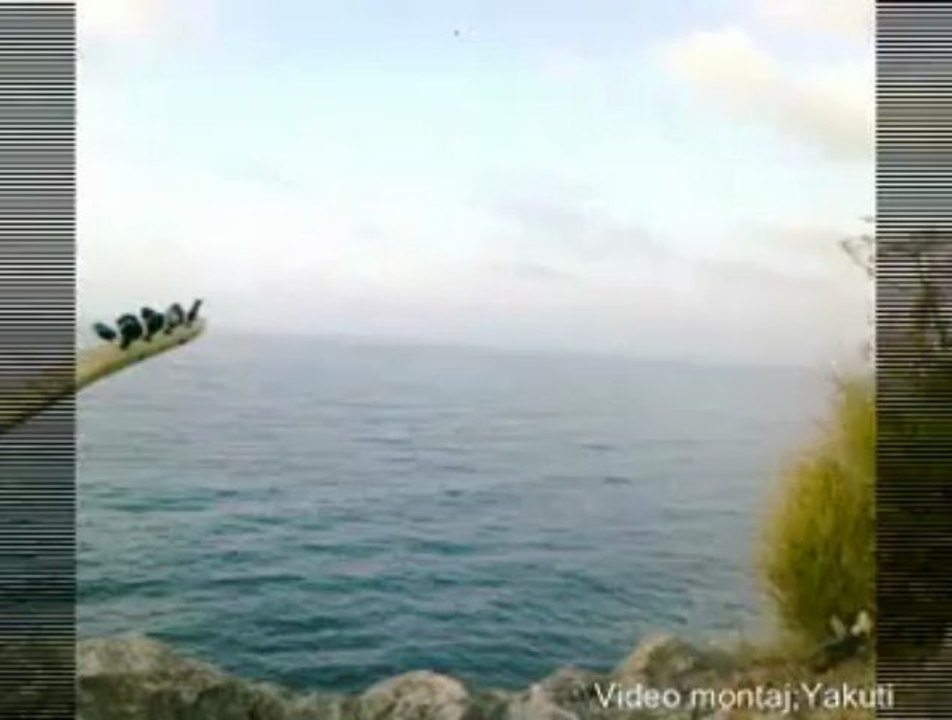 BAZI ŞİİR GÖNÜL TÜRKÜSÜ EŞLİĞİNDE  CEMAL DİVANİ