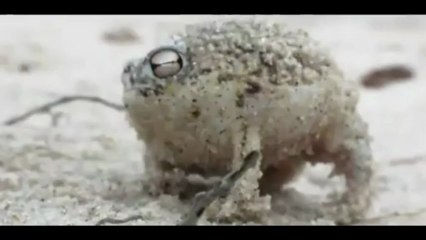 The cutest thing ever