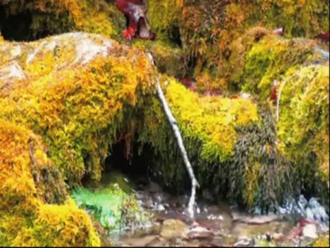 HALAY GRUP DOGANAY - türküler