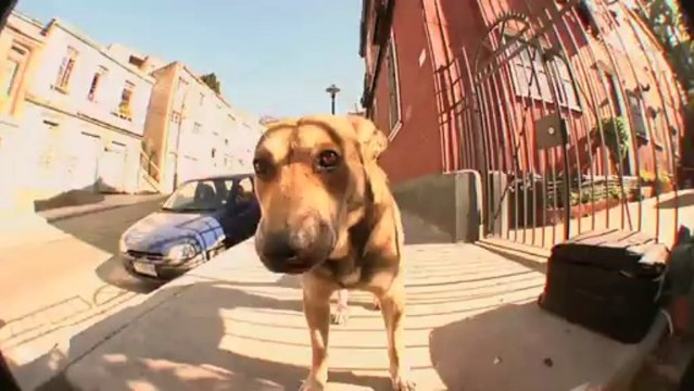 Skuff BiteSized - Keep Discovering - Chile